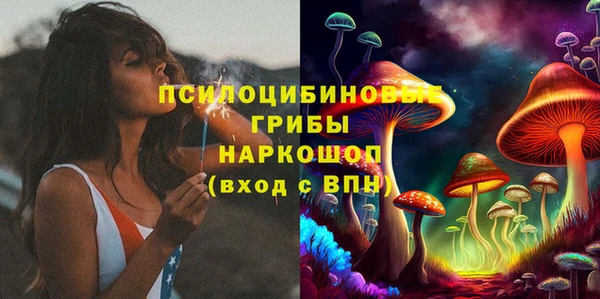 МДПВ Волоколамск