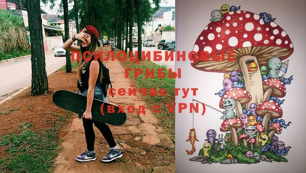 spice Бородино