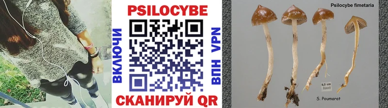 как найти наркотики  Камышлов  Псилоцибиновые грибы мухоморы 
